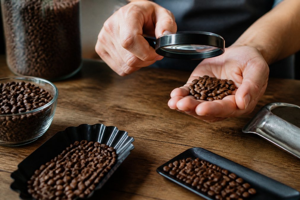 How to Tell if Coffee Beans Are Fresh: 7 Checks