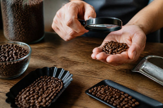 How to Tell if Coffee Beans Are Fresh: 7 Checks