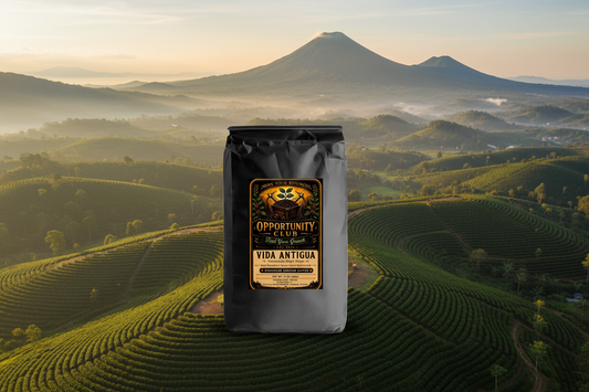Guatemala Single Origin-Vida Antigua